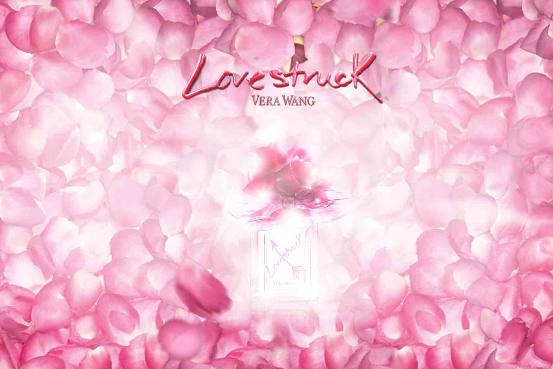 verawanglovestruck banner social media campaign