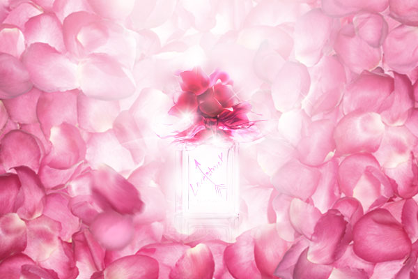 verawanglovestruck banner social media campaign